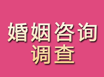 大安区婚姻咨询调查